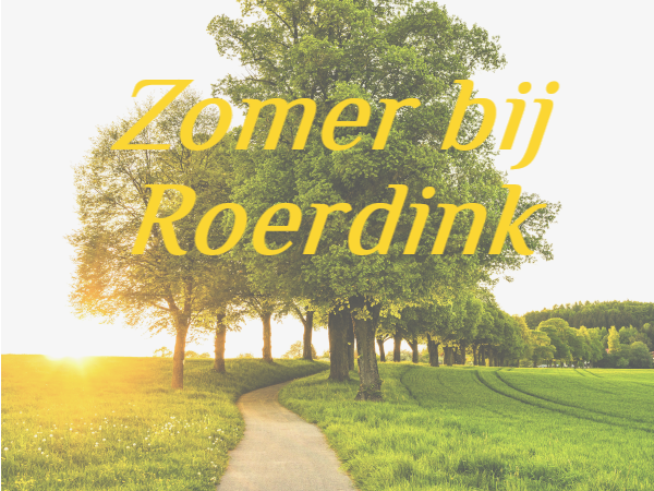 https://www.roerdink.nl/write/Afbeeldingen1/Blokvoorkant website/zomerflyerblokvoorkant.png?preset=content