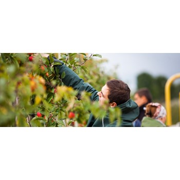 Dolfing P1 Classic Regen Tuinbroek met Kniestuk - 229  5 / 5