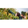 Dolfing P1 Classic Regen Tuinbroek met Kniestuk - 229  5 / 5