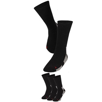 Apollo 000125925001 Thermo 3-pack 4 / 4