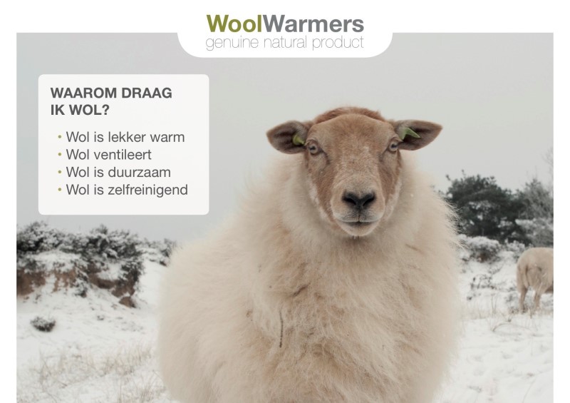 WoolWarmers Presentatie Topkaart 162 2 / 2