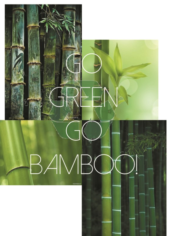 Bamboo Sokken Terry Foot 2304 2 / 3