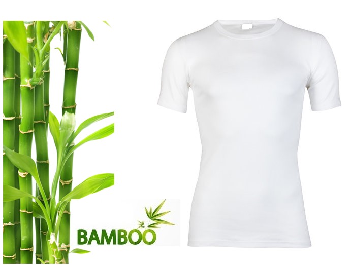 Bamboo T-Shirt 2312 3 / 3