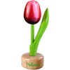 Nijhuis Tulp Op Voet 824 1 / 6