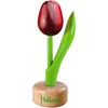 Nijhuis Tulp Op Voet 824 3 / 6