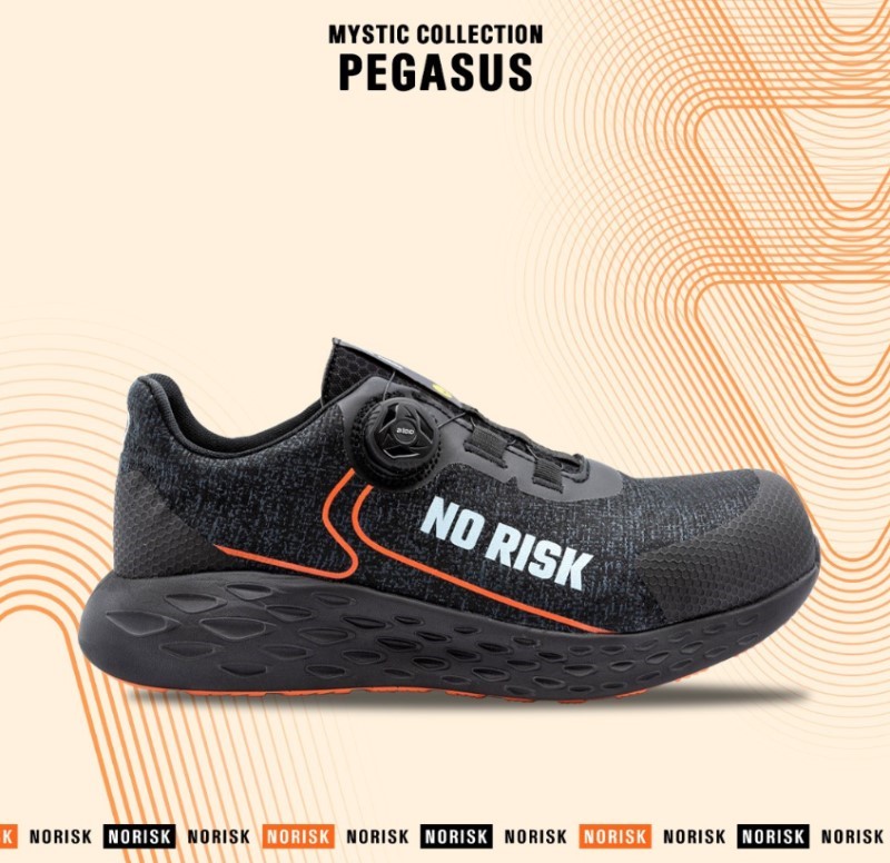 No Risk Pegasus 1249.31 ATOP S1P 5 / 6