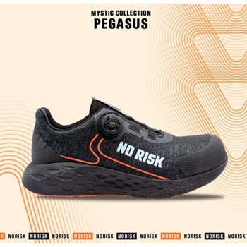 No Risk Pegasus 1249.31 ATOP S1P 5 / 6