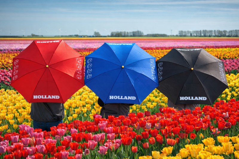 Impliva Falconetti TLP-9 Tulp - Holland Paraplu (WEEKAANBIEDING!) 3 / 4