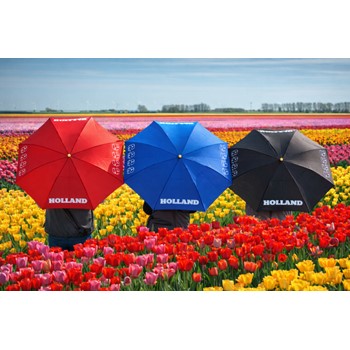 Impliva Falconetti TLP-9 Tulp - Holland Paraplu (WEEKAANBIEDING!) 3 / 4