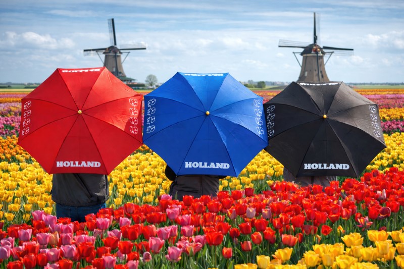 Impliva Falconetti TLP-9 Tulp - Holland Paraplu (WEEKAANBIEDING!) 4 / 4