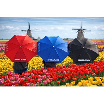 Impliva Falconetti TLP-9 Tulp - Holland Paraplu (WEEKAANBIEDING!) 4 / 4