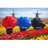 Impliva Falconetti TLP-9 Tulp - Holland Paraplu (WEEKAANBIEDING!) 4 / 4