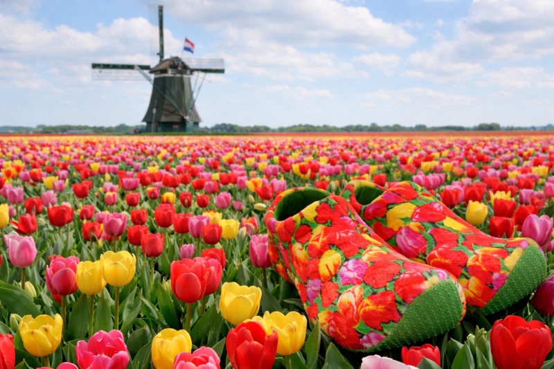 Nijhuis Klomppantoffel Groen Tulp art. SL.9928 2 / 4